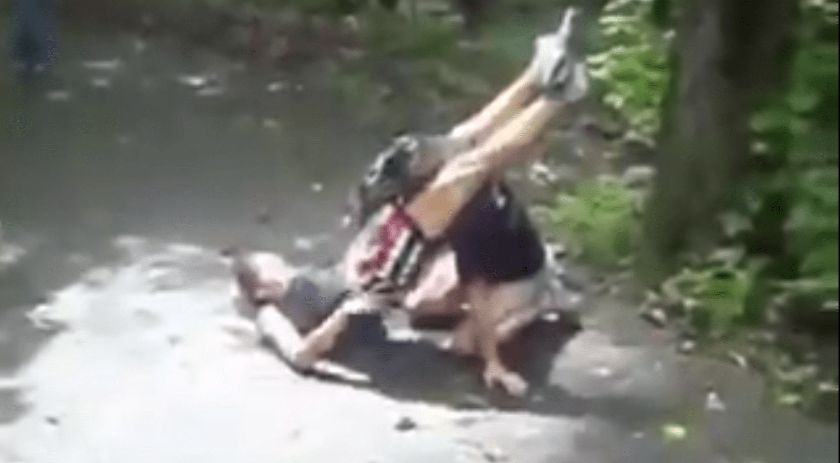 Headscissors in real fight