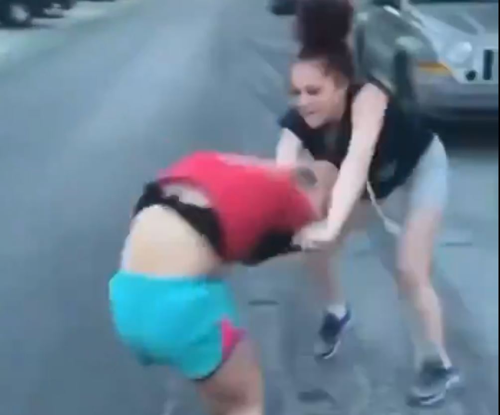 Hot Girl Fight