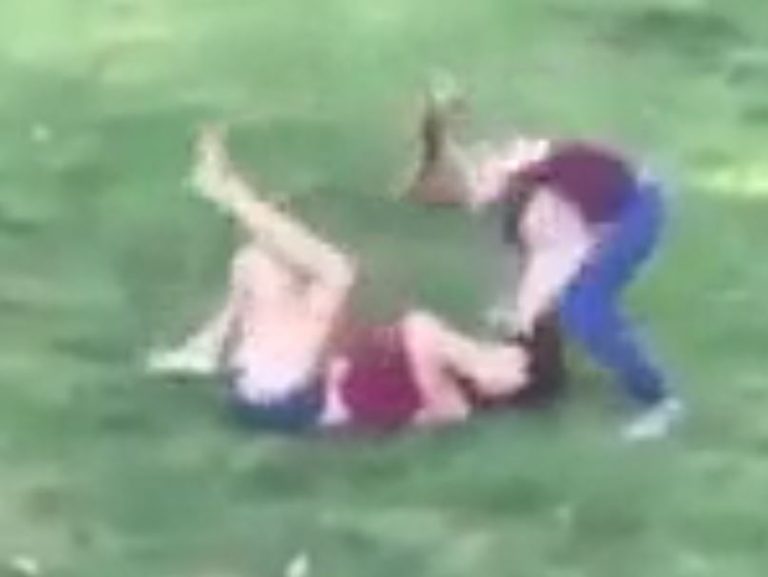 Brutal Girl Fight Beatdown
