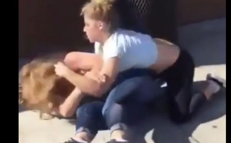 Girl beat up bully