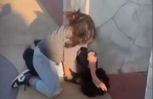 Girl Vs Boy Fight