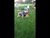 Girl tap out a guy with bodyscissors