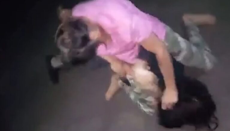 Catfight Humiliation