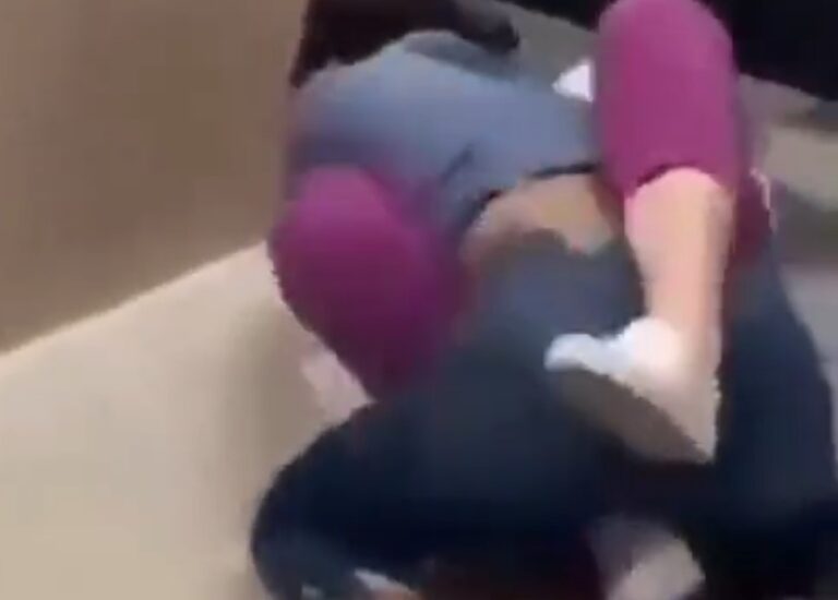 Black Girl vs White Girl Fight