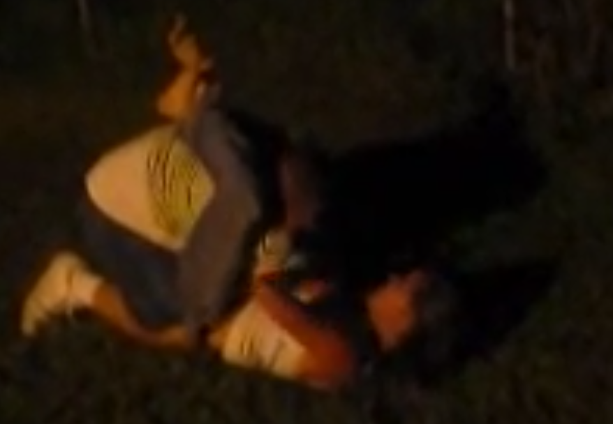 Trained Female vs Average Guy Fight