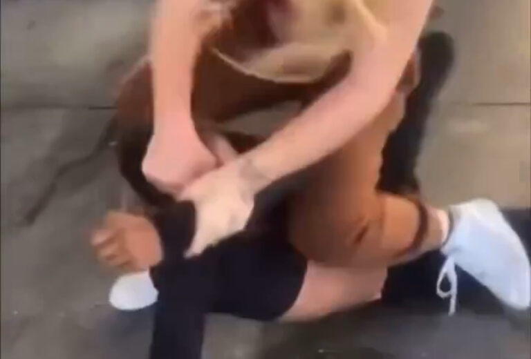 Girl fight 391 : Beatdown