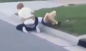 Girl Fight Knockout