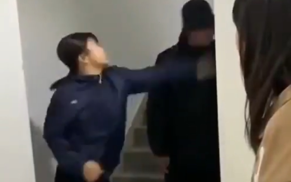 Girl Beat Up Two Boys – She bullied the boys