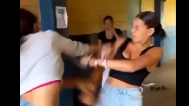 Girl Fight Hard Punches to the face