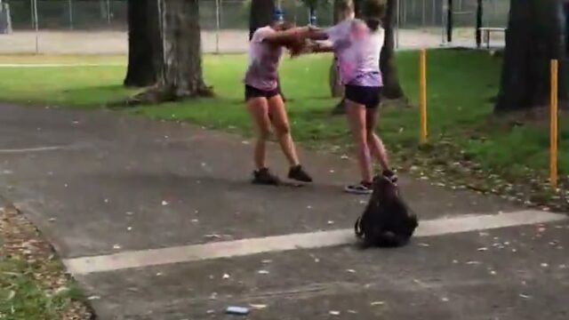 Girl Fight 305