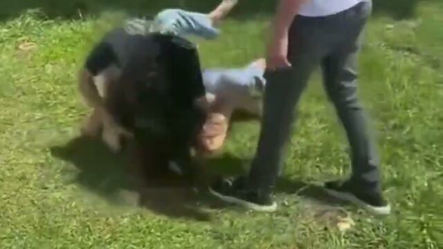 Girl Fight 311