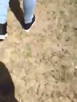 Girl Fight 313