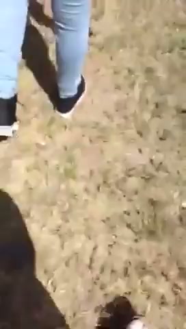 Girl Fight 313