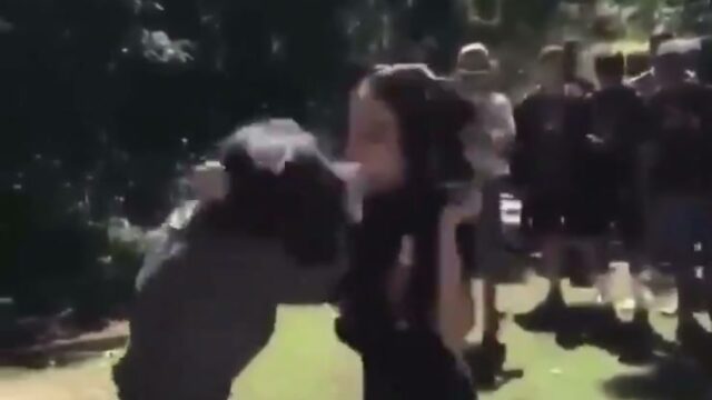 Girl Fight 319