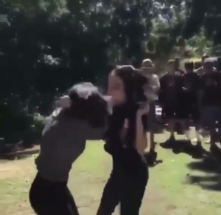 Girl Fight 319