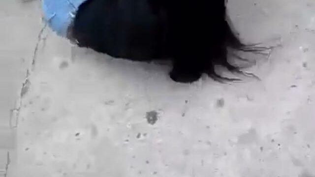 Girl Fight 323