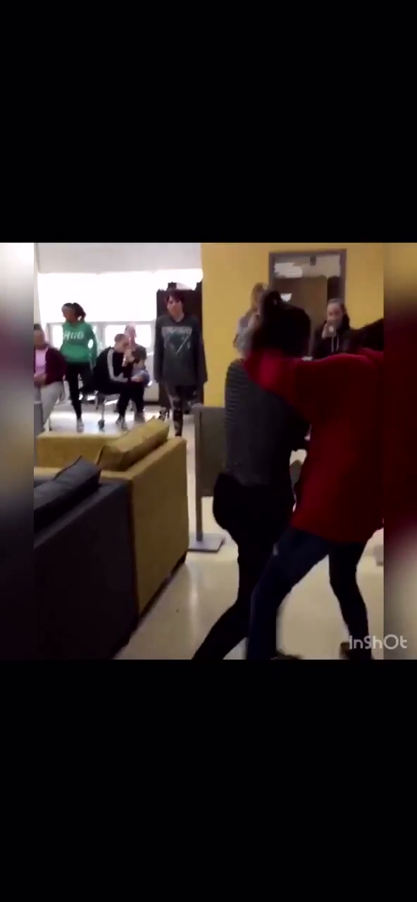 Girl Fight 331