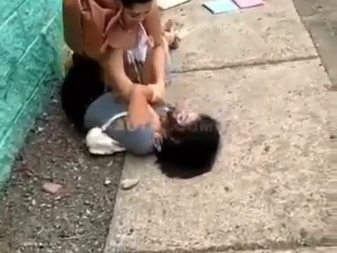 Girl Fight 334