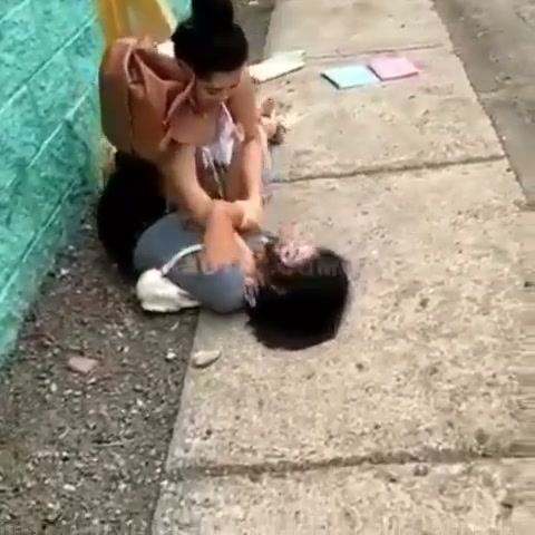 Girl Fight 334