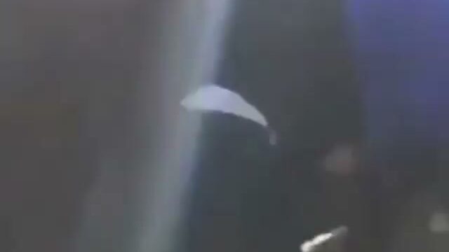 Girl Fight 335