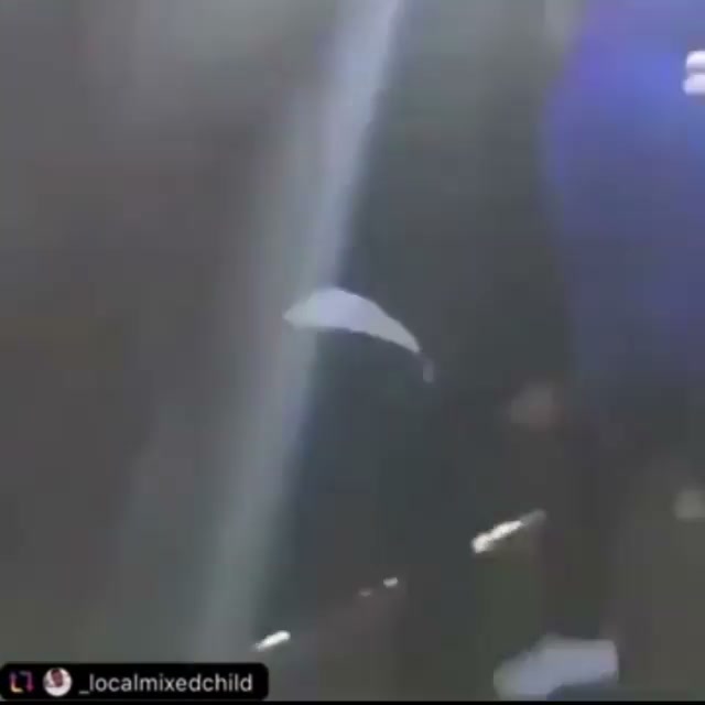 Girl Fight 335
