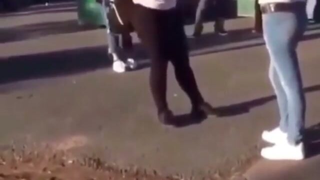 Girl Fight 336