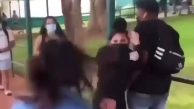 Girl Fight 338