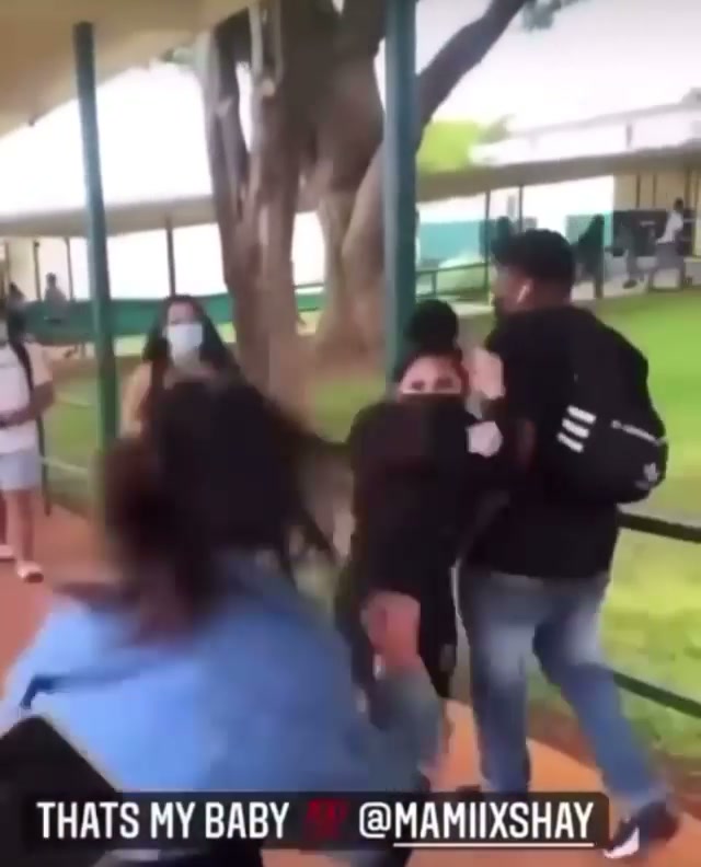 Girl Fight 338