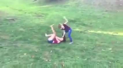 Girl Fight 342
