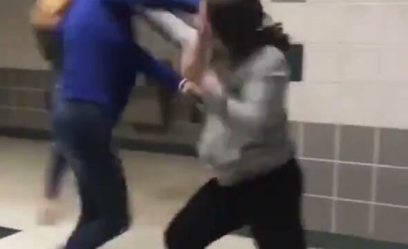 Girl Fight 377