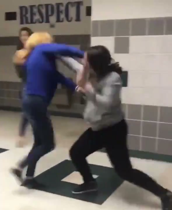 Girl Fight 377