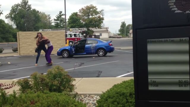Girl Fight 378