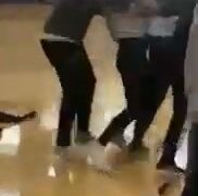 Girl Fight 397