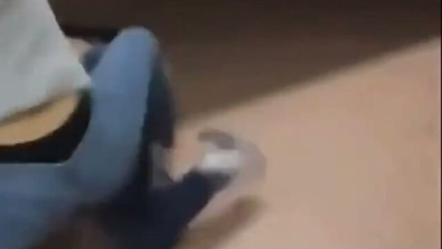 Girl Fight 398