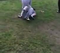 Girl Fight 403