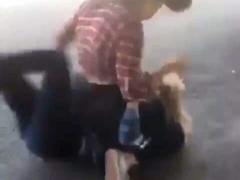 Girl Fight 417