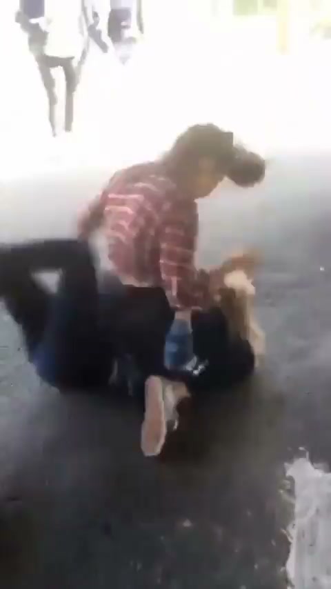Girl Fight 417