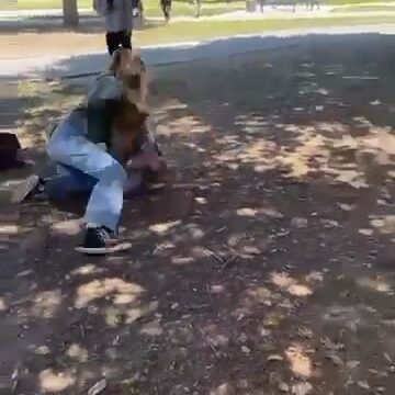 Girl Fight 430