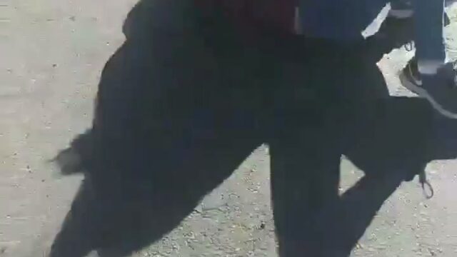 Girl Fight 434