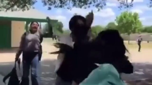Girl Fight 439 : One Sided