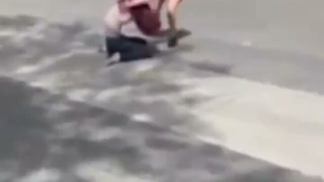 Girl Fight 445