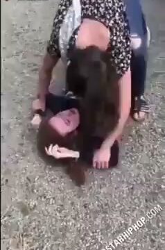 Girl Fight 447