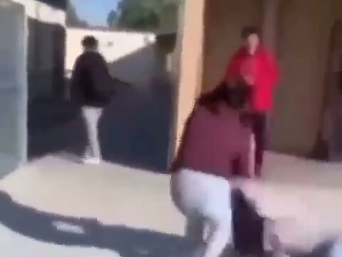 Girl Fight 455
