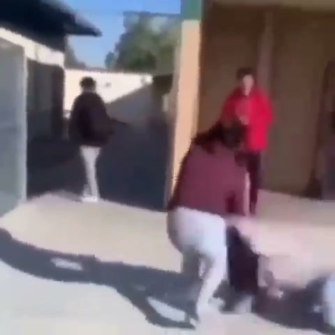 Girl Fight 455