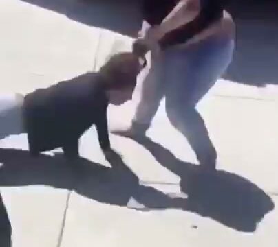 Girl Fight 461