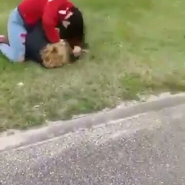 Girl Fight 479