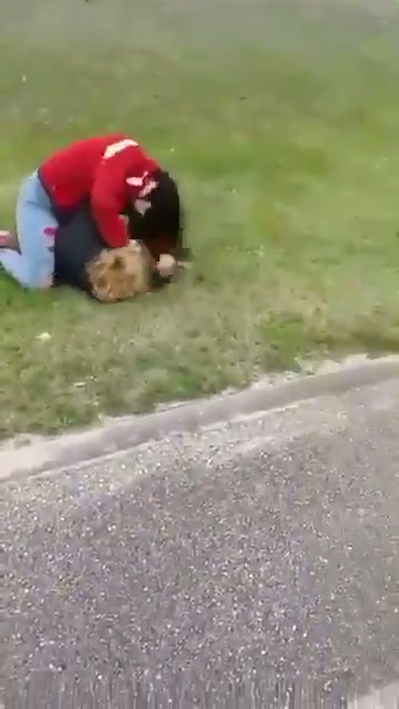 Girl Fight 479