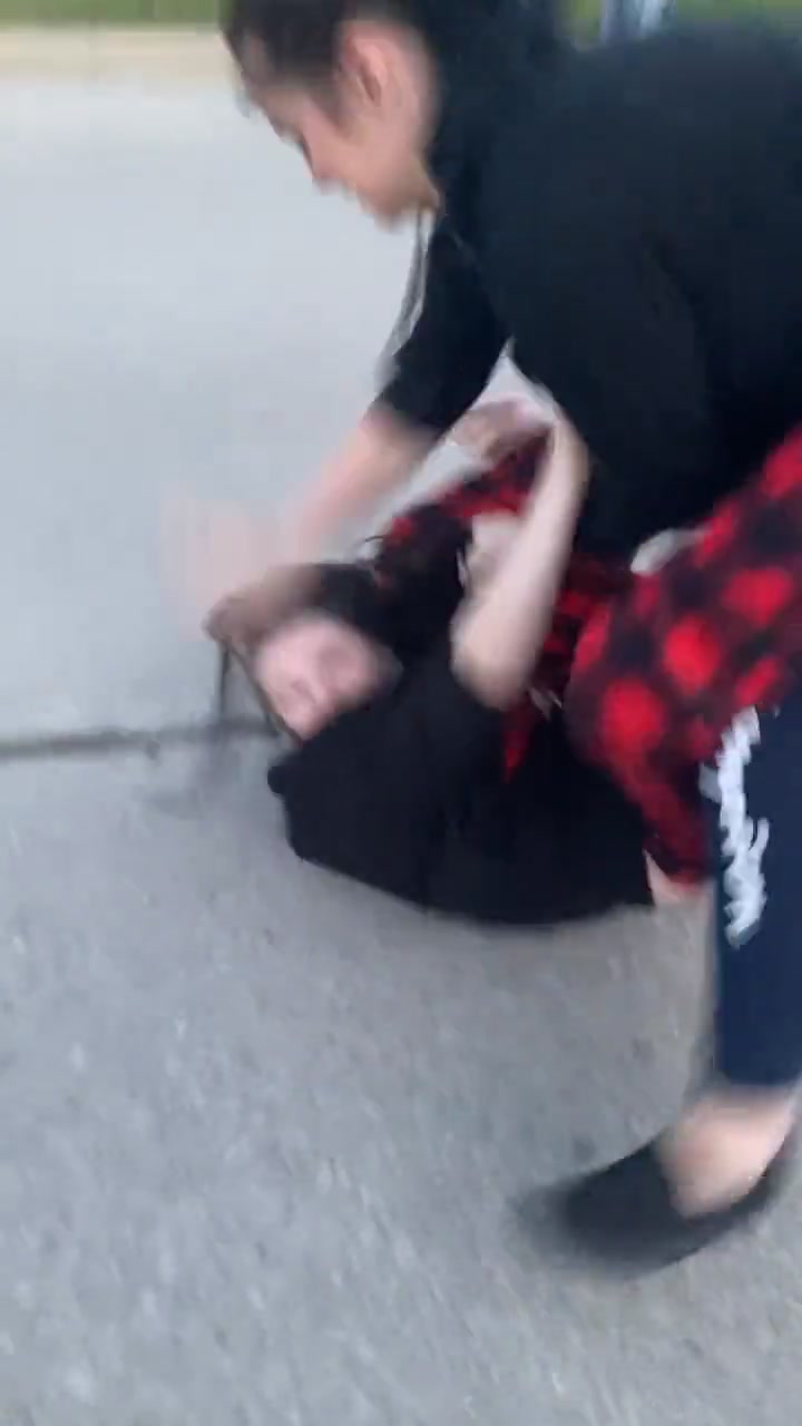 Girl Fight 480