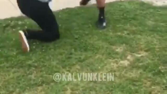 Girl Fight 482