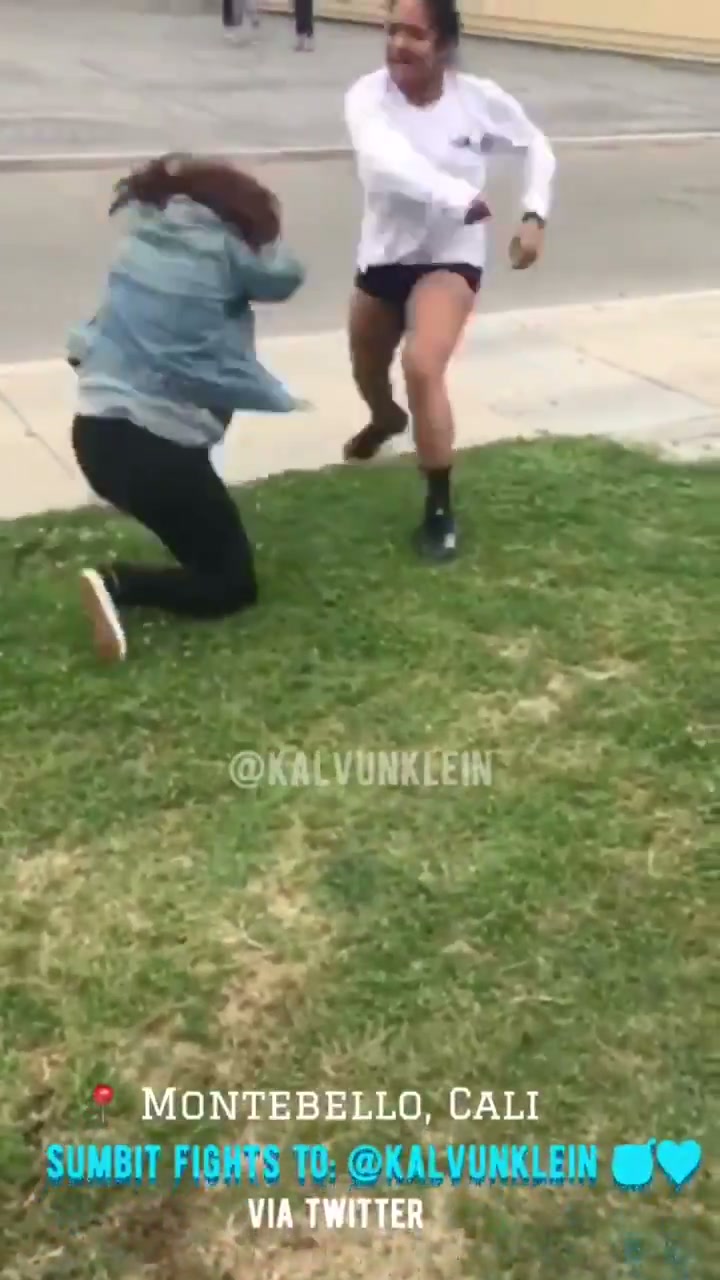 Girl Fight 482
